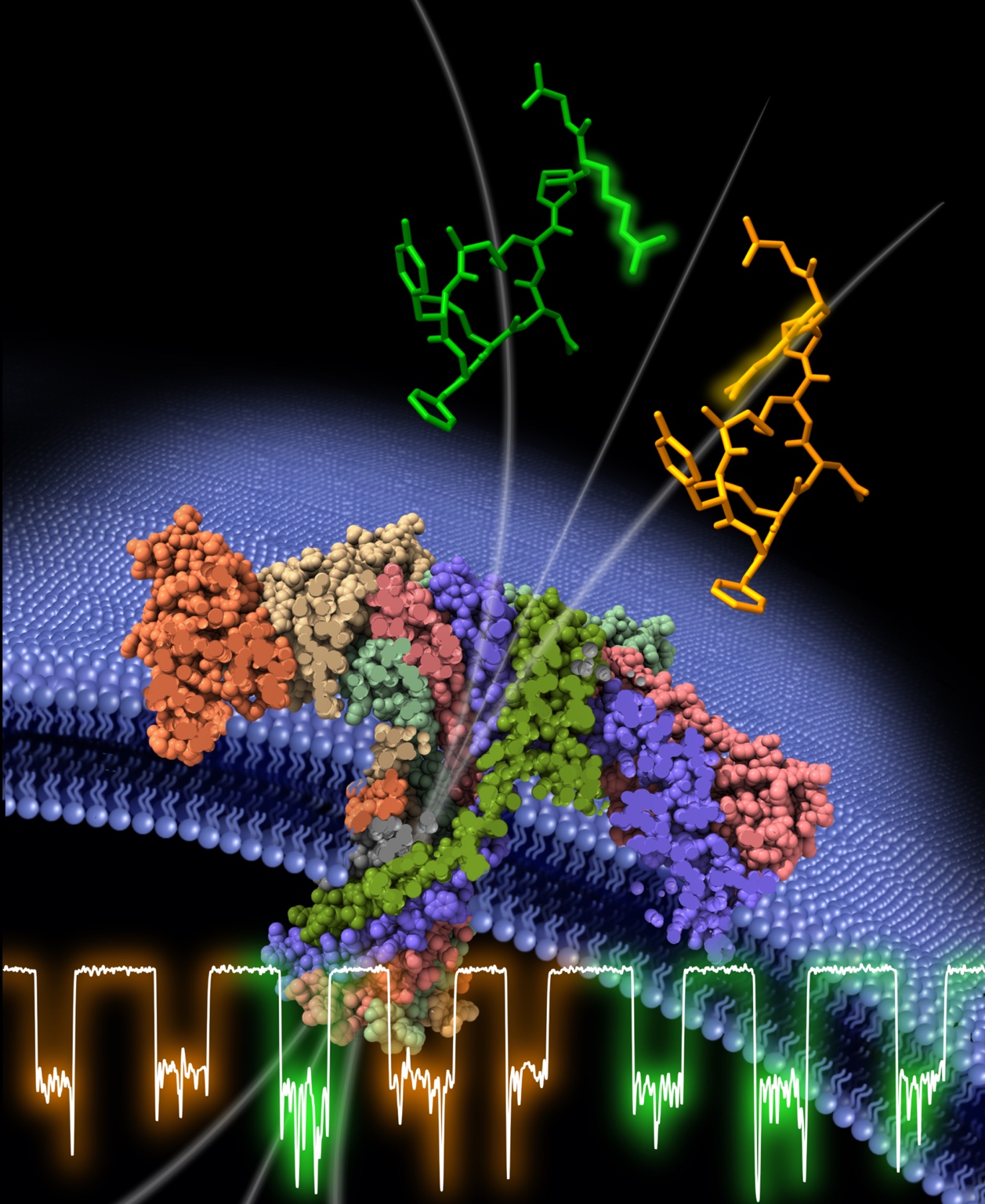 ACS Central Science 2024 nanopore cover artwork